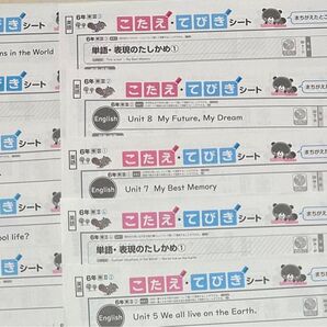 最新版 小学6年 英語 カラーテスト てびきシート