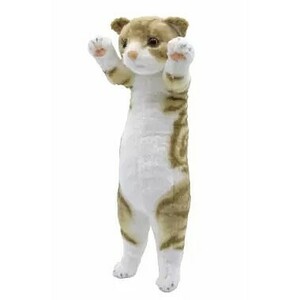 [Scottish Fold] Tecchi Zoo Nyanko Light Plush Полная высота около 38 см. Тега Новая кошка с новой кошкой независимой PW