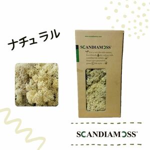 スカンディアモス SCANDIAMOSS ナチュラル 50ｇ ディスプレイ 苔 モス 天然素材 白系 メンテナンスフリー
