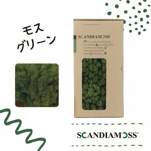 スカンディアモス SCANDIAMOSS モスグリーン 50ｇ ディスプレイ 苔 モス 天然素材 緑色