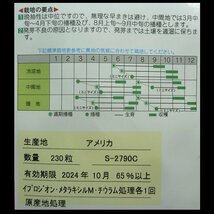 野菜の種　人参　6種　各20粒前後　レッドハーモニー　ホワイト　イエロー　クリーム　オレンジ　ヴァイオレット　カラフル_画像3