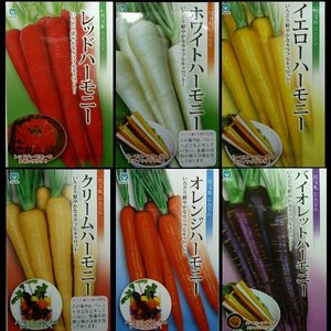 野菜の種　人参　6種　各20粒前後　レッドハーモニー　ホワイト　イエロー　クリーム　オレンジ　ヴァイオレット　カラフル