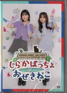 稲場愛香小関舞ファンクラブツアーin白樺湖～しらかばっちょとおぜきねこ～稲場愛香バースデーイベントLv26～まなかんサンタがやってくる～