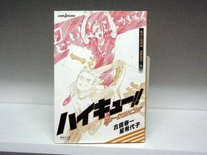 良好品☆文庫版 ハイキュー!! ショーセツバン!! 梟谷&稲荷崎/烏野高校・冬☆古舘 春一・星 希代子