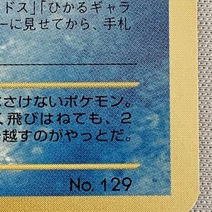 【No.129 P】ひかるコイキング LV.11(ファンクラブ) [旧裏面] ポケモンカード ポケカの画像3