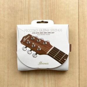 Ibanez アイバニーズ アコースティックギター用 80/20ブロンズ EWPシリーズ専用 コーテッド弦 IPCS6C