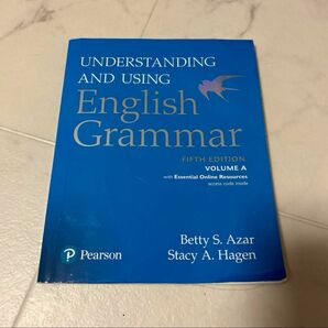 understanding and using english grammar