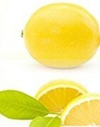 日本製　18-8ステンレス　末広型レモン絞り２個セット　送料込み 匿名配送_画像8