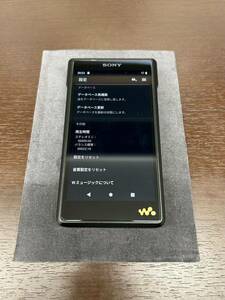 SONY WALKMAN NW-WM1AM2ソニー ウォークマン 