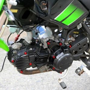 Kawasaki KSR110 2008年モデル ミニモト 色々触られててかなりの美品！の画像10