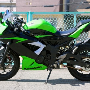 Kawasaki NINJA250SL BX250A 2015年モデル ニンジャ SL USBポートとヘルメットホルダー×２こ付き 人気のライム 大きな傷無く美品！の画像2