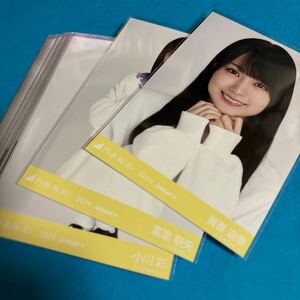 乃木坂46 生写真 ルーズソックス 24枚まとめ売り 賀喜遥香 小川彩 冨里奈央 一ノ瀬美空 柴田柚菜 などあり その他メンバーもあり