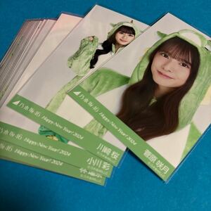 乃木坂46 生写真 干支 辰 2024年 21枚まとめ売り 菅原咲月 小川彩 川崎桜 五百城茉央 梅澤美波 などあり その他メンバーもあり