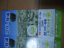 マザー牧場 入場招待券 4枚セット 有効期限 2024年 3月31日 千葉県富津市　6000円相当品_画像2
