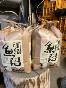 令和５年産新米魚沼産コシヒカリ従来品種5キロ×2合計10キロ