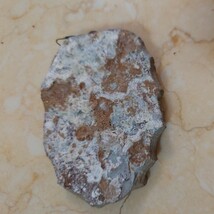 化石　魚　国産鉱物 天然石 標本　ゆうパック発送_画像6