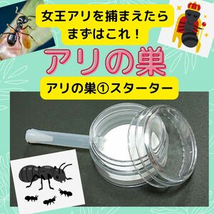 【アリの巣①スターター】石膏ケース 蟻飼育 昆虫観察 ペット アクリル 虫かご