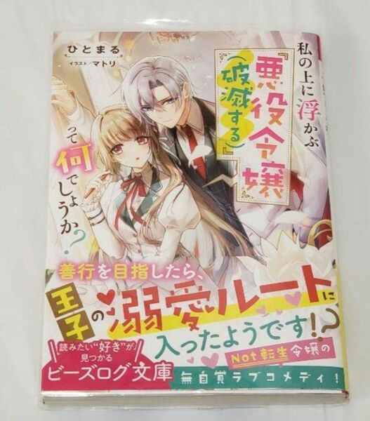 私の上に浮かぶ『悪役令嬢(破滅する)』って何でしょうか