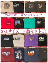 ★SET-112★USA古着★メンズ半袖 プリントTシャツ 2XLサイズ 16枚セット ①★卸 仕入れ 大量 お得 フリマ_画像1