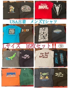 ★SET-134★USA古着★メンズ半袖 プリントTシャツ L サイズ 16枚セット ⑨★卸 仕入れ 大量 お得 フリマ