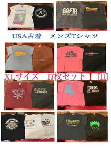 ★SET-108★USA古着★メンズ半袖 プリントTシャツ XLサイズ 17枚セット ⑪★卸 仕入れ 大量 お得 フリマ