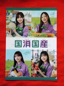 ★送料無料★乃木坂４６「国産国消」応援ＪＡグループＡ４クリアファイル 山下美月 久保史緒里 賀喜遥香 遠藤さくらほか 非売品 即決あり