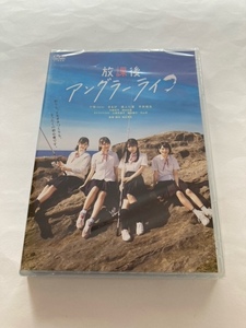 放課後アングラーライフ　DVD　未開封　十味/まるぴ/森ふた葉/平井珠生