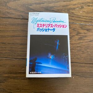 デッドストック　倉庫保管品　カセットテープ　パッショナータ　ミステリアス・パッション　卑弥呼　ルナ・ルナ　アラブ万歳　VCH1680