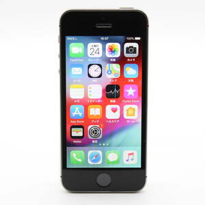 iPhone5s 32GB ME335J/A スペースグレイ docomo 判定〇 #12221