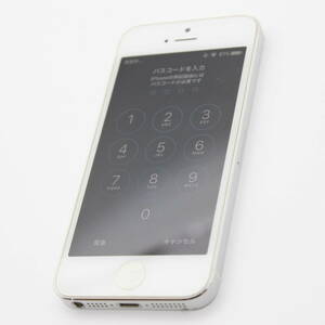 iPhone5 A1429 ホワイト Softbank 判定〇 #12221