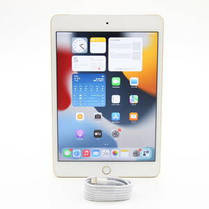iPad mini 第4世代 16GB MK712J/A ゴールド au 判定〇