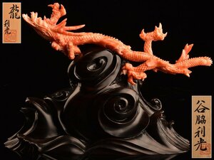 【流】鑑賞美術 谷脇利光作 珊瑚彫刻龍置物 重量186g 共箱 XKT550