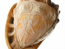 N957 貝殻彫刻 シェルカメオ エンジェル 天使 フラワー 花絵 大型 巻貝 オブジェ 飾物_画像3