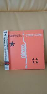 Steetcore/Joe Strummer&The Mescaleros ジョーストラマー