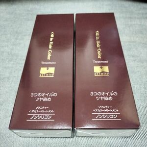 ソワニティー ヘアカラートリートメント ダークブラウン 2本セット 新品 送料無料 匿名配送