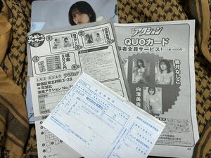 漫画アクション No.7 桃月なしこ クリアファイル　応募用紙　払込取扱票　有　クオカード　白濱美兎　アンケート　応募者全員サービス d