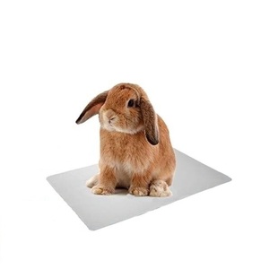 hi... cool .. want aluminium plate aluminium 30×20cm small animals heat countermeasure rabbit hamster hedgehog LB-248 classification Y