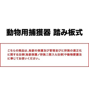 捕獲器 猫 アニマルトラップ トラップ 【Lサイズ】 駆除 捕獲 踏板式 捕獲機 動物 罠 保護 庭 農業 アニマルキャッチャー LB-201 区分100Sの画像8