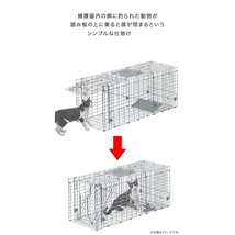 捕獲器 猫 アニマルトラップ トラップ 【Mサイズ】 駆除 捕獲 踏板式 捕獲機 動物 罠 保護 庭 農業 アニマルキャッチャー LB-201 区分100S_画像3