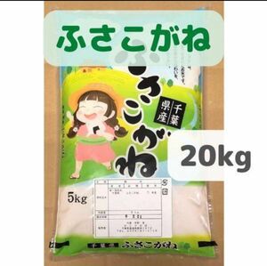 新米 20kg 令和5年産ふさこがね 千葉県の美味しい　減農薬のお米