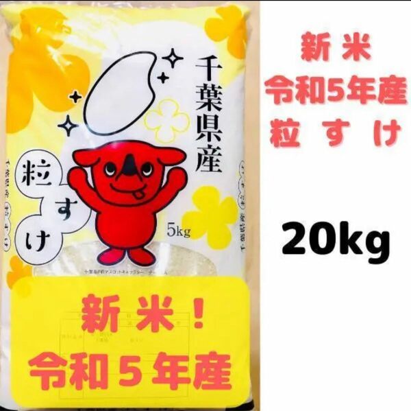 令和5年 新米 千葉県産「粒すけ」２０Kg 体に優しい減農薬のお米 農家直送