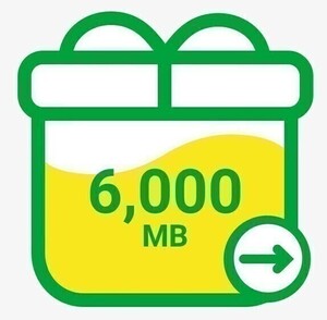 mineo マイネオ パケットギフト 約6GB