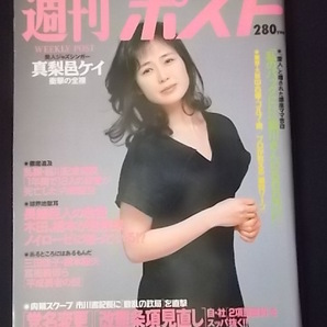 週刊ポスト 1994年6月3日 藤谷美和子 グラビア（真梨邑ケイ 葉山レイコ 大竹一重）