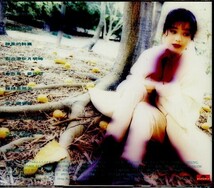 1993年 香港！劉小慧(ウィニー・ラウ) / 今宵不想告別 Winnie Lau 写真入り歌詞カード封入_画像2