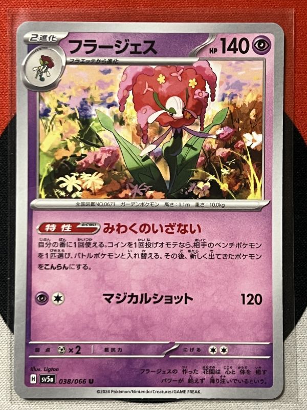 Yahoo!オークション -「ポケモンカード フラージェス」の落札