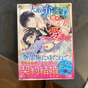 TL小説 天敵弁護士は臆病なかりそめ妻を愛し尽くす （ベリーズ文庫　た３－１５） 高田ちさき／著