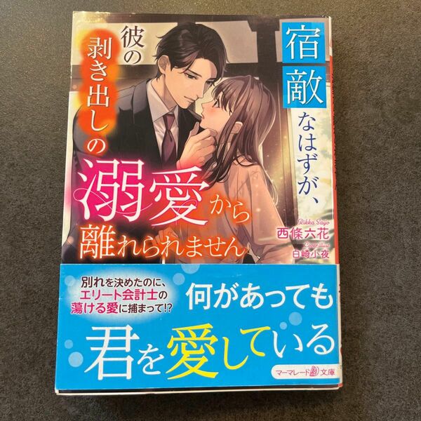 TL小説 宿敵なはずが、彼の剥き出しの溺愛から離れられません （マーマレード文庫　サ５－０６） 西條六花／著