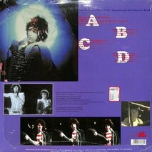 249903 SENSATIONAL ALEX HARVEY BAND / The Rise & Fall Of(LP)_画像2