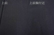 平和屋川間店■豪華色留袖　刺繍　松皮菱花文　金糸　逸品　n-kg3021_画像9