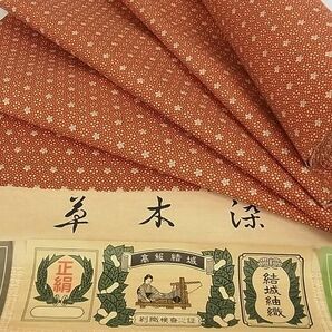 平和屋-こころ店■紬 結城紬織 反物 着尺 花尽くし 正絹 逸品 未使用 AAAC1257Aayの画像1